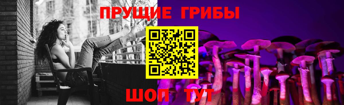 Галлюциногенные грибы MAGIC MUSHROOMS  Вход с VPN  сколько стоит  Мценск 